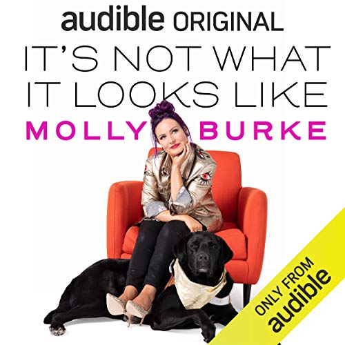 It's Not What It Looks Like Audiobook